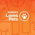 SUBARU Loves Pets